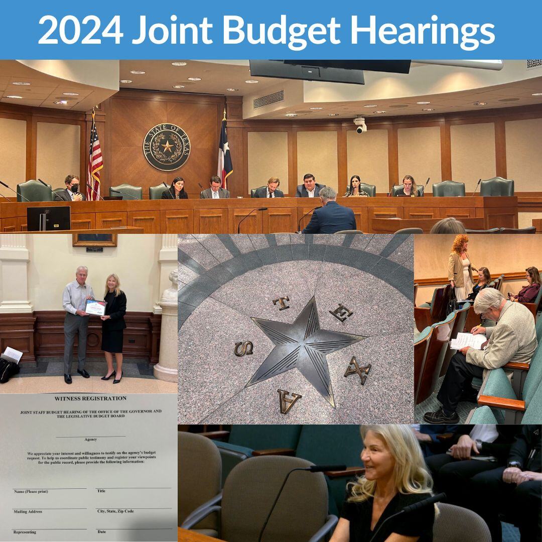 Joint Budget Hearings 2024 Wrap Up_IG